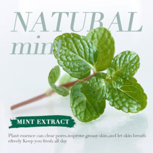 Halal & Vegan Mineral Mint Loose Setting Powder OEM ODM | Custom Ultra Light Oil Absorbing Finishing Powder For Tropical Skin